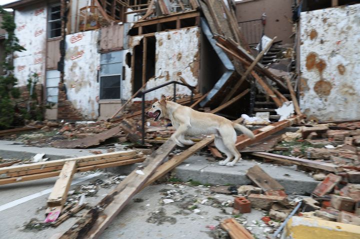 Hurricane Harvey Slams Into Texas Gulf Coast