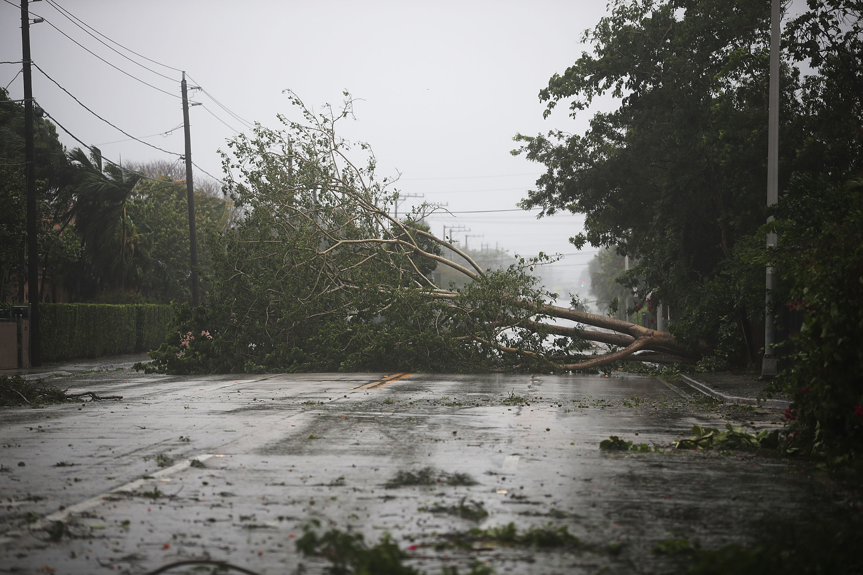 Powerful Hurricane Irma Slams Into Florida